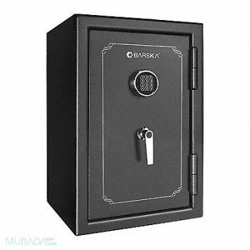 BARSKA Fire Safe Black 169 lb., 53JF16