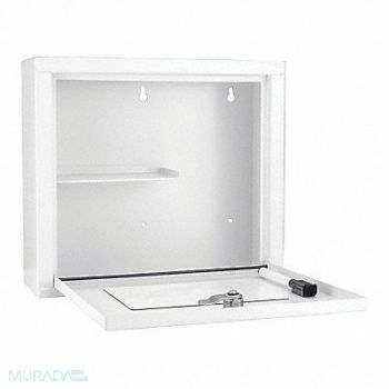 BARSKA Wall Supply Cabinet 9-1/2 H White 1 Door, 53JF44