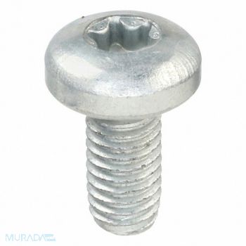GRAINGER APPROVED Thread Rolling Screw M5 10mm L PK250, 54FV43
