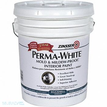 ZINSSER Interior Paint White Eggshell Finish, 54GD78