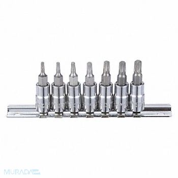 WESTWARD Skt Bt St Stl StSz 1/4 in DrSz 1/4 in, 54TN14