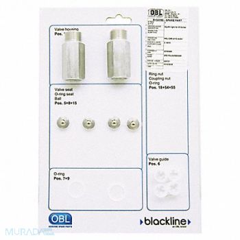 BLACKLINE BY PULSAFEEDER Valve kit 1/2in 316 SS Valve Repair Kit, 54WF55