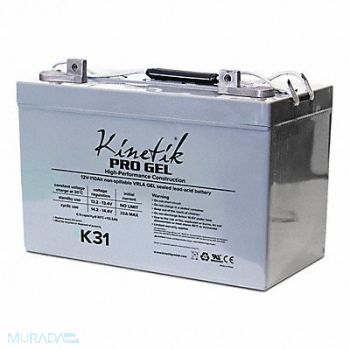 GRAINGER APPROVED Sealed Lead Acid Battery 12VDC 8.23 H, 54XH53