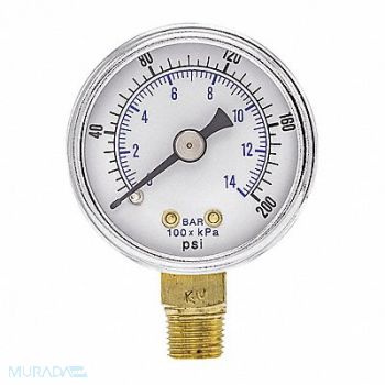 PIC GAUGES Pressure Gauge Nominal 1-1/2 Dial, 54XP04