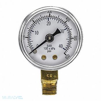 PIC GAUGES Pressure Gauge Nominal 1-1/2 Dial, 54XP06