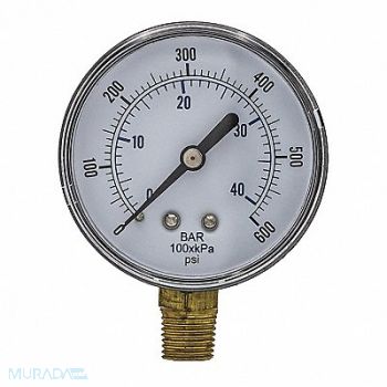 PIC GAUGES Pressure Gauge Nominal 2-1/2 Dial, 54XP22