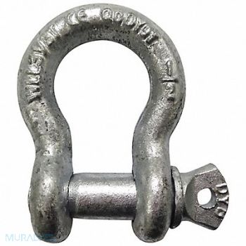 GRAINGER APPROVED Anchor Shackle Screw Pin 1/2 Body Size, 55AY20