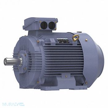 MARATHON MOTORS GP Motor 75 HP 1 790 RPM 230/460V 250M, 55AZ15