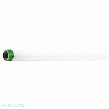 PHILIPS Linear FLUOR Bulb T8 48 L R17d 4100K, 55DY77