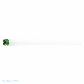 PHILIPS Linear FLUOR Bulb T8 96 L Fa8 4100K, 55DY79
