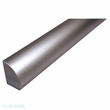 NATIONAL GUARD Fascia Direct Mount Type Aluminum Silver, 55JJ29