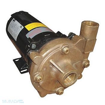 DAYTON Straight Centrifugal High Head Pump 1 HP, 55JJ69