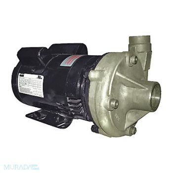 DAYTON Straight Centrifugal High Head Pump 1 HP, 55JJ72