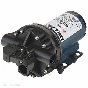 DELAVAN AG PUMPS Diaphragm Pump PolyP 5Cmb 5gpm 45psi, 55NL23