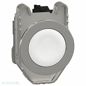 SCHNEIDER ELECTRIC Push Button 30mm Momentary, 55WG54