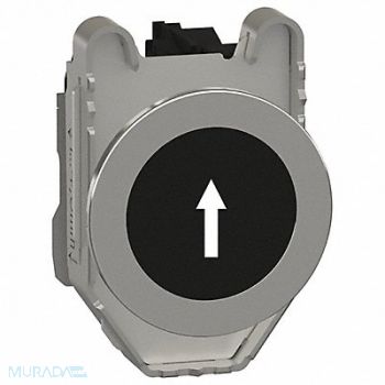 SCHNEIDER ELECTRIC Push Button 30mm Momentary, 55WG57