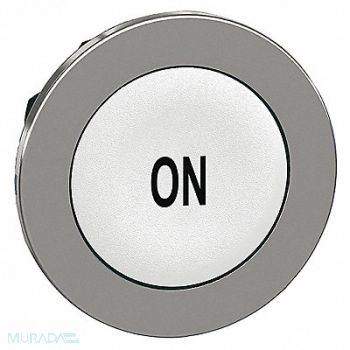 SCHNEIDER ELECTRIC Pushbutton Head Black White 30mm, 55WH26