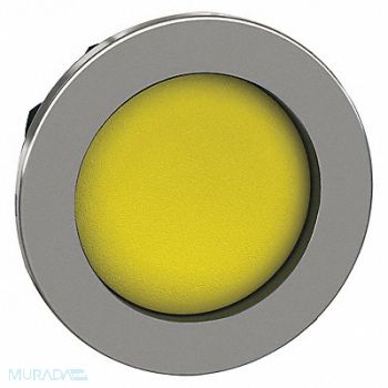 SCHNEIDER ELECTRIC Pushbutton Head Yellow 30mm, 55WH49