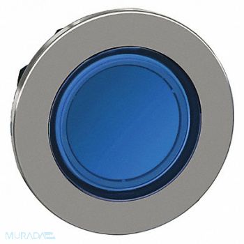 SCHNEIDER ELECTRIC Pushbutton Head Blue 30mm, 55WH52