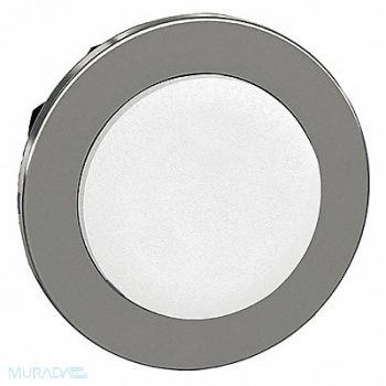 SCHNEIDER ELECTRIC Push Button Head Maintained Push Action, 55WH90