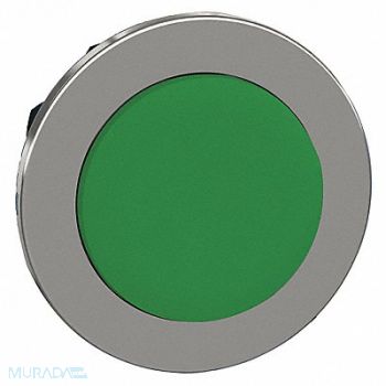 SCHNEIDER ELECTRIC Push Button Head Maintained Push Action, 55WH93