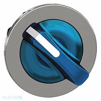 SCHNEIDER ELECTRIC Head for Selector Switch 30mm Sz LED, 55WJ16