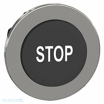 SCHNEIDER ELECTRIC Push Button Head Momentary Action 30mm, 55WJ39