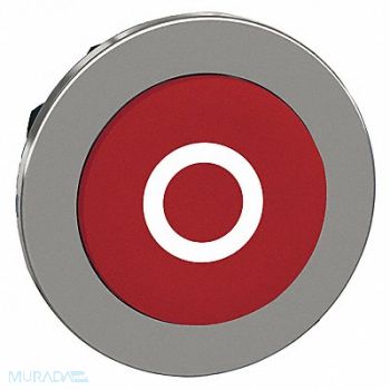 SCHNEIDER ELECTRIC Push Button Head Momentary Action 30mm, 55WJ42