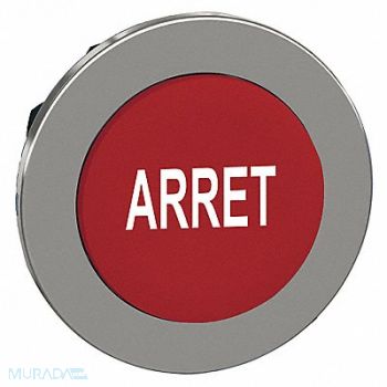 SCHNEIDER ELECTRIC Push Button Head Momentary Action 30mm, 55WJ43