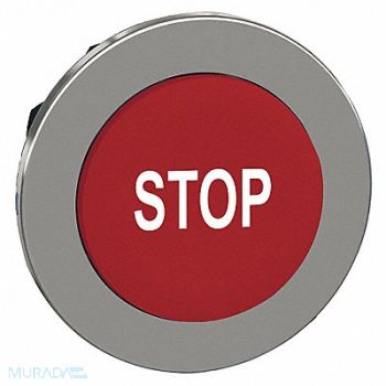 SCHNEIDER ELECTRIC Push Button Head Momentary Action 30mm, 55WJ44