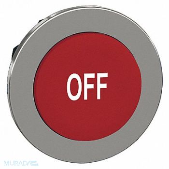 SCHNEIDER ELECTRIC Push Button Head Momentary Action 30mm, 55WJ45