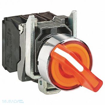 SCHNEIDER ELECTRIC Illuminated Selector Switch 30mm Sz, 55WJ76