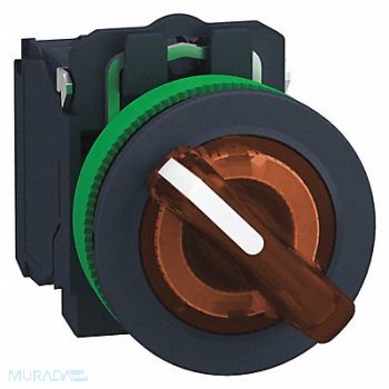 SCHNEIDER ELECTRIC Illuminated Selector Switch 30mm Sz, 55WK19