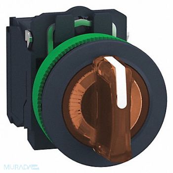 SCHNEIDER ELECTRIC Illuminated Selector Switch 30mm Sz, 55WK28