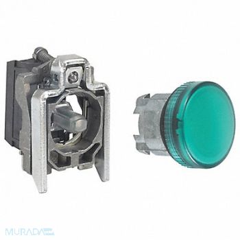 SCHNEIDER ELECTRIC Pilot Light 110 to 120VAC Green LED Lamp, 55WM20