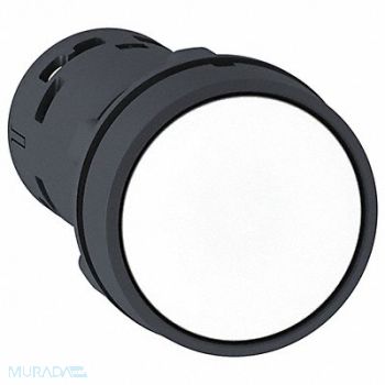 SCHNEIDER ELECTRIC Push Button Momentary Action 22mm, 55WP43