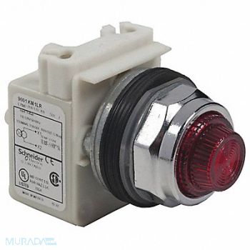 SCHNEIDER ELECTRIC Pilot Light 110 to 120VAC Green LED Lamp, 55WR04