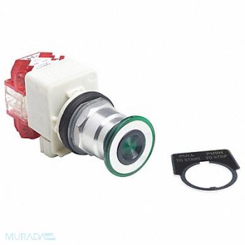 SCHNEIDER ELECTRIC Push Button 30mm, 55WR18