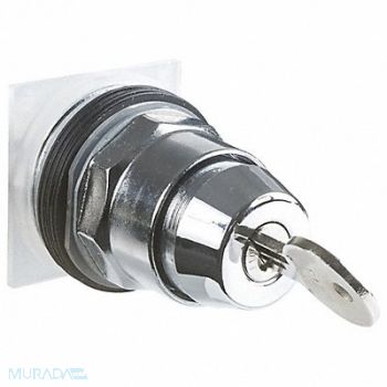 SCHNEIDER ELECTRIC Selector Switch 30mm Sz 2 Position, 55WR31