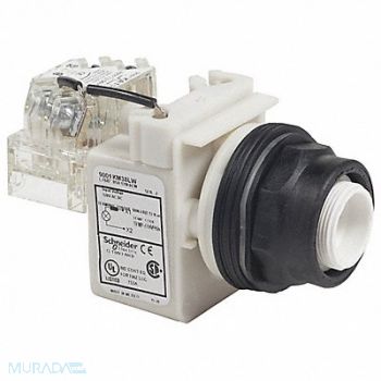 SCHNEIDER ELECTRIC Pilot Light 110 to 120VAC Red LED Lamp, 55WR64