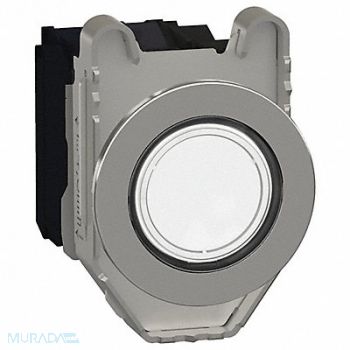 SCHNEIDER ELECTRIC Push Button 30mm Momentary Action, 55XA28