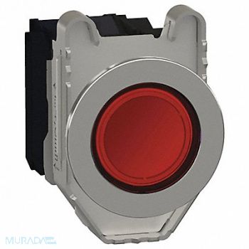 SCHNEIDER ELECTRIC Push Button 30mm Momentary Action, 55XA32