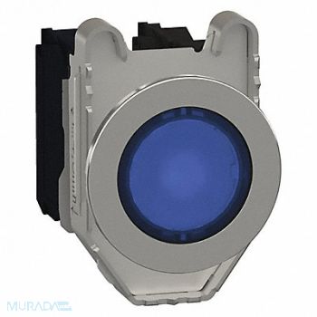 SCHNEIDER ELECTRIC Push Button 30mm Momentary Action, 55XA34