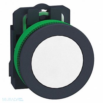 SCHNEIDER ELECTRIC Pilot Light 110 to 120VAC White LED Lamp, 55WK32