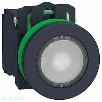 SCHNEIDER ELECTRIC Push Button 30mm Momentary Action, 55XA55