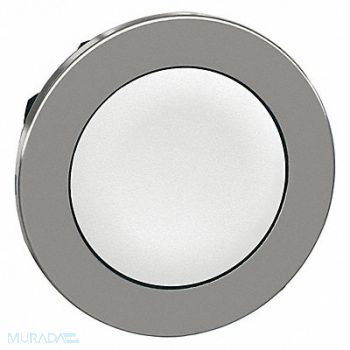 SCHNEIDER ELECTRIC Pushbutton Head White 30mm, 55XA61