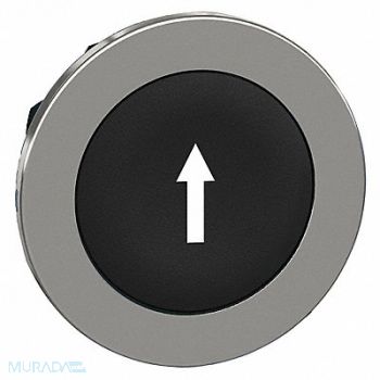 SCHNEIDER ELECTRIC Pushbutton Head Black White 30mm, 55XA66
