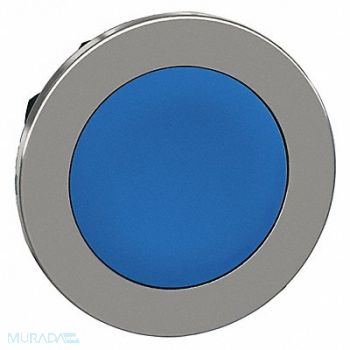 SCHNEIDER ELECTRIC Pushbutton Head Blue 30mm, 55XA69