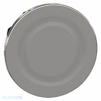 SCHNEIDER ELECTRIC Flush Mounted ing Plug 30mm, 55XA93