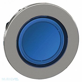 SCHNEIDER ELECTRIC Pilot Light Head Blue LED Lamp, 55XA98